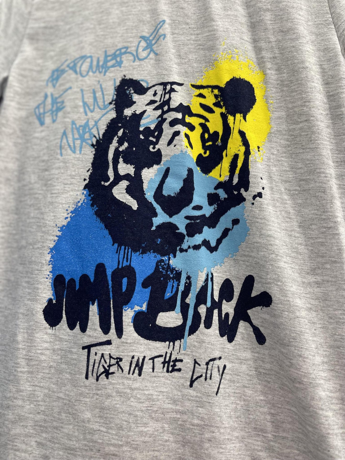 Boy Tiger Print Grey Tshirt and Blue Shorts Set