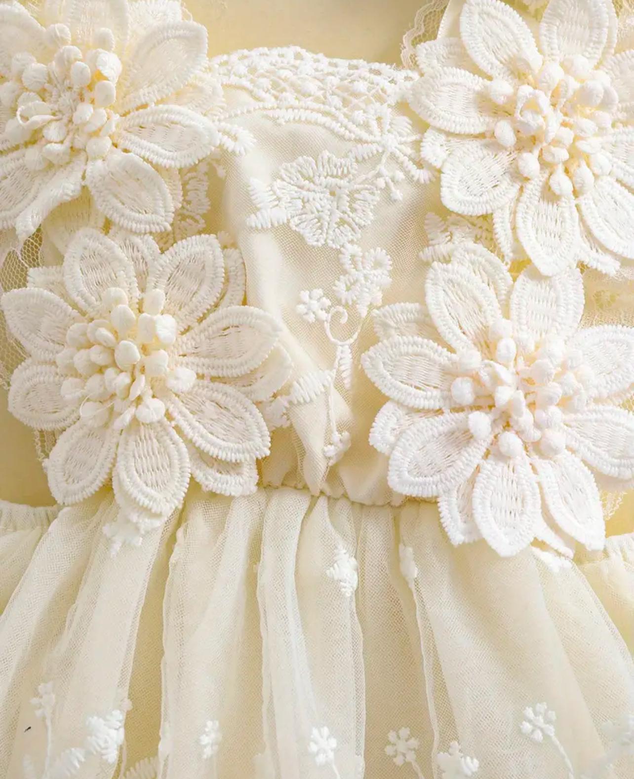 Baby Elegant Flower Embroidery Romper Dress with Headband