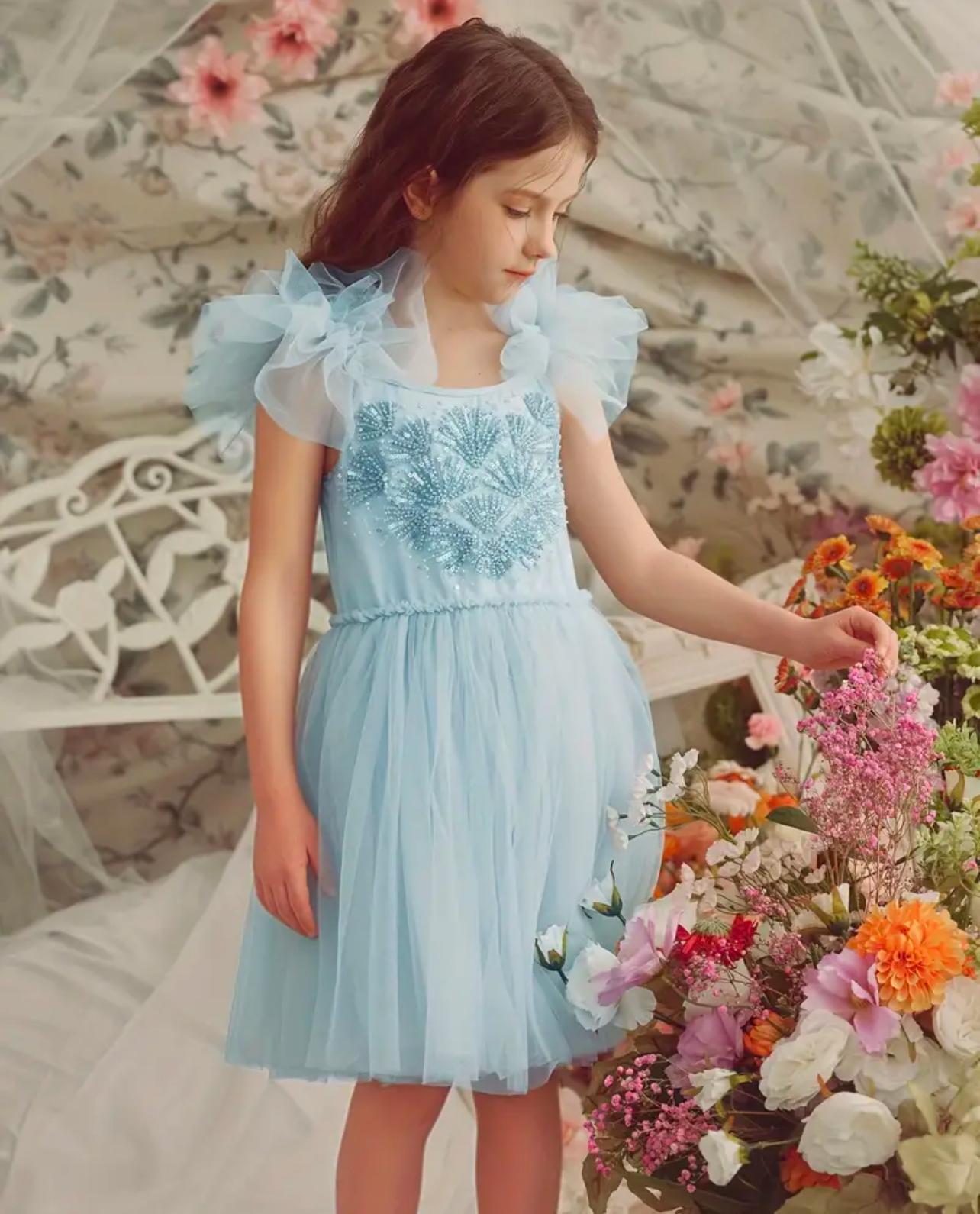 Ice Blue Tulle Dress
