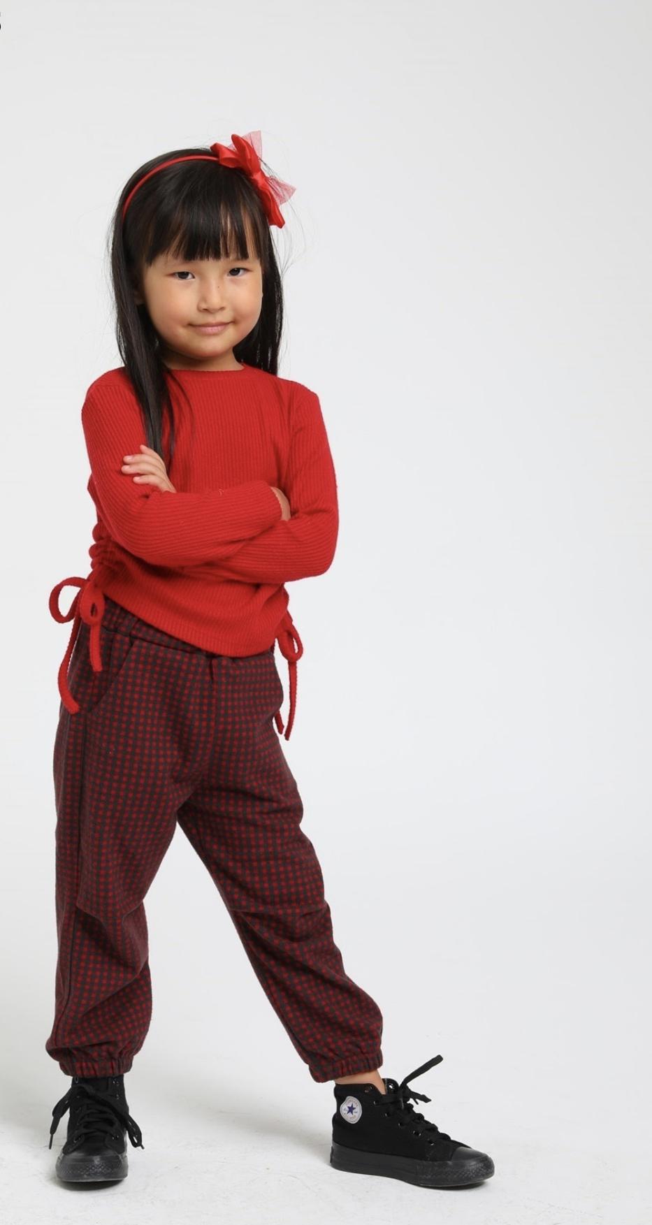 Red Long Sleeve Blouse