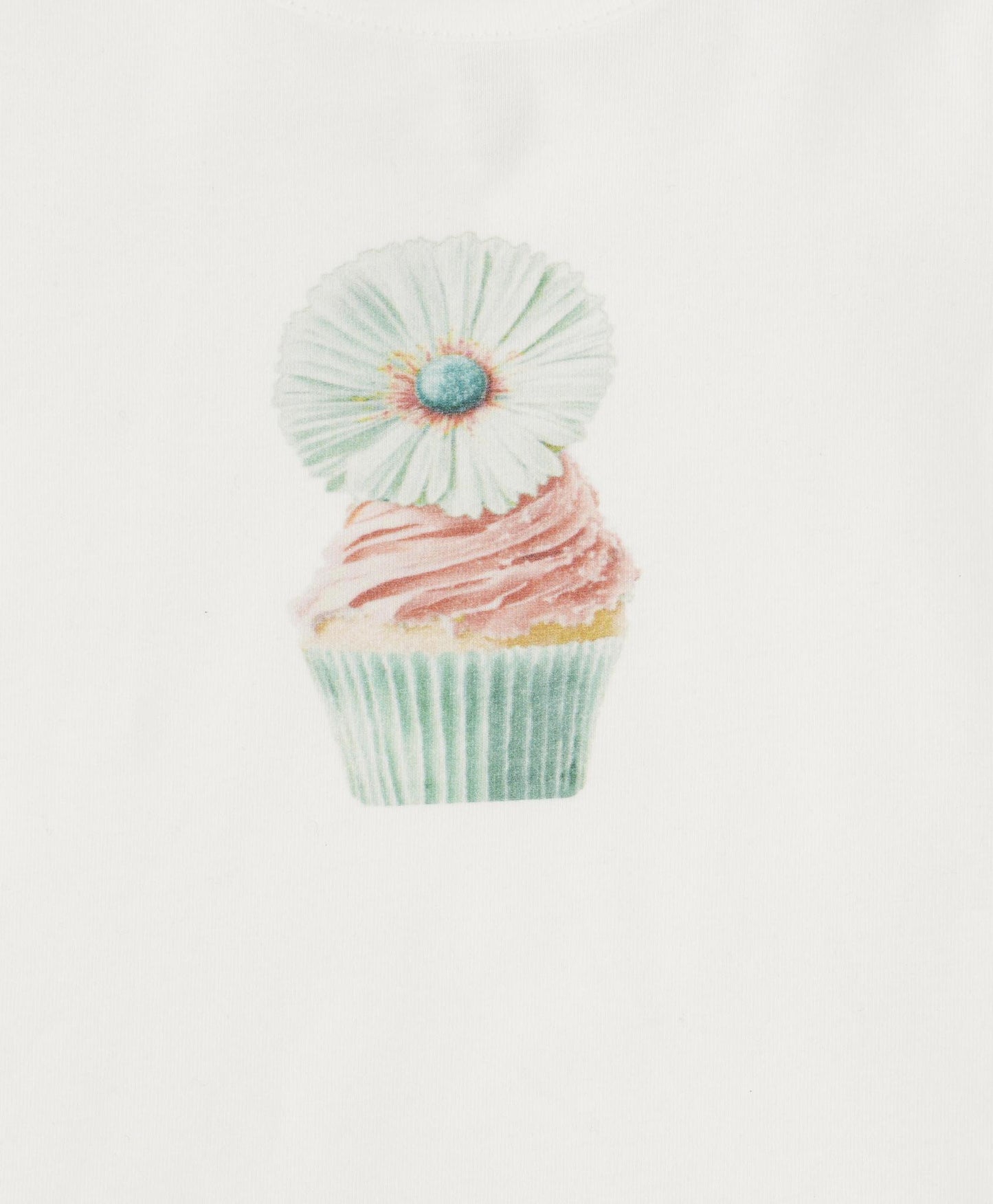 Mint\pink Cupcake 2 Piece Set