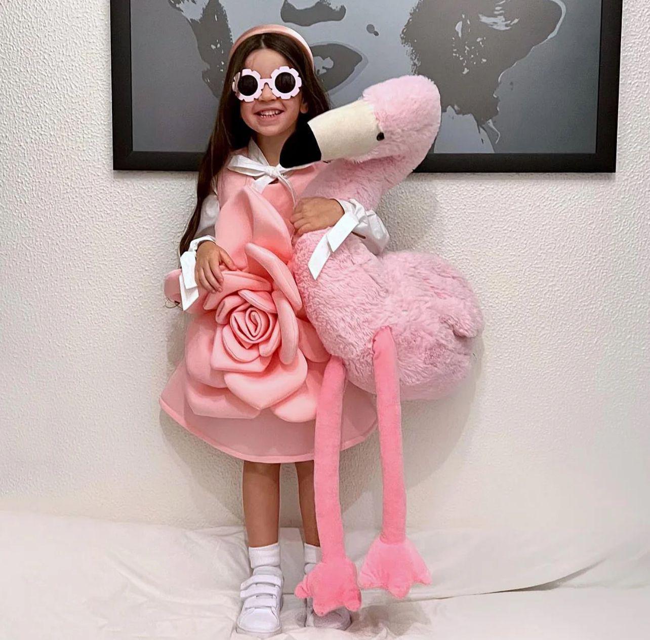 Eliana Rose Dress