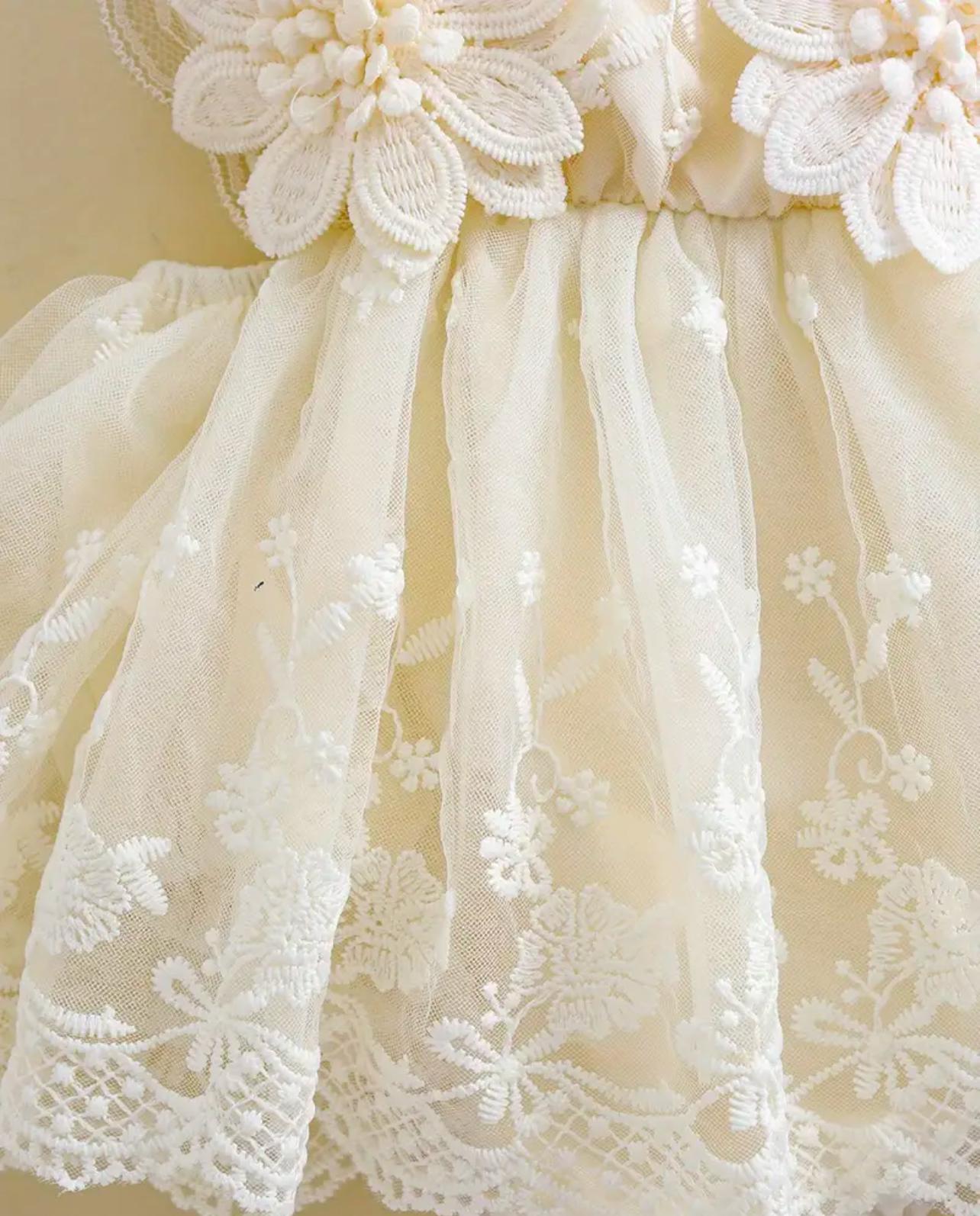 Baby Elegant Flower Embroidery Romper Dress with Headband