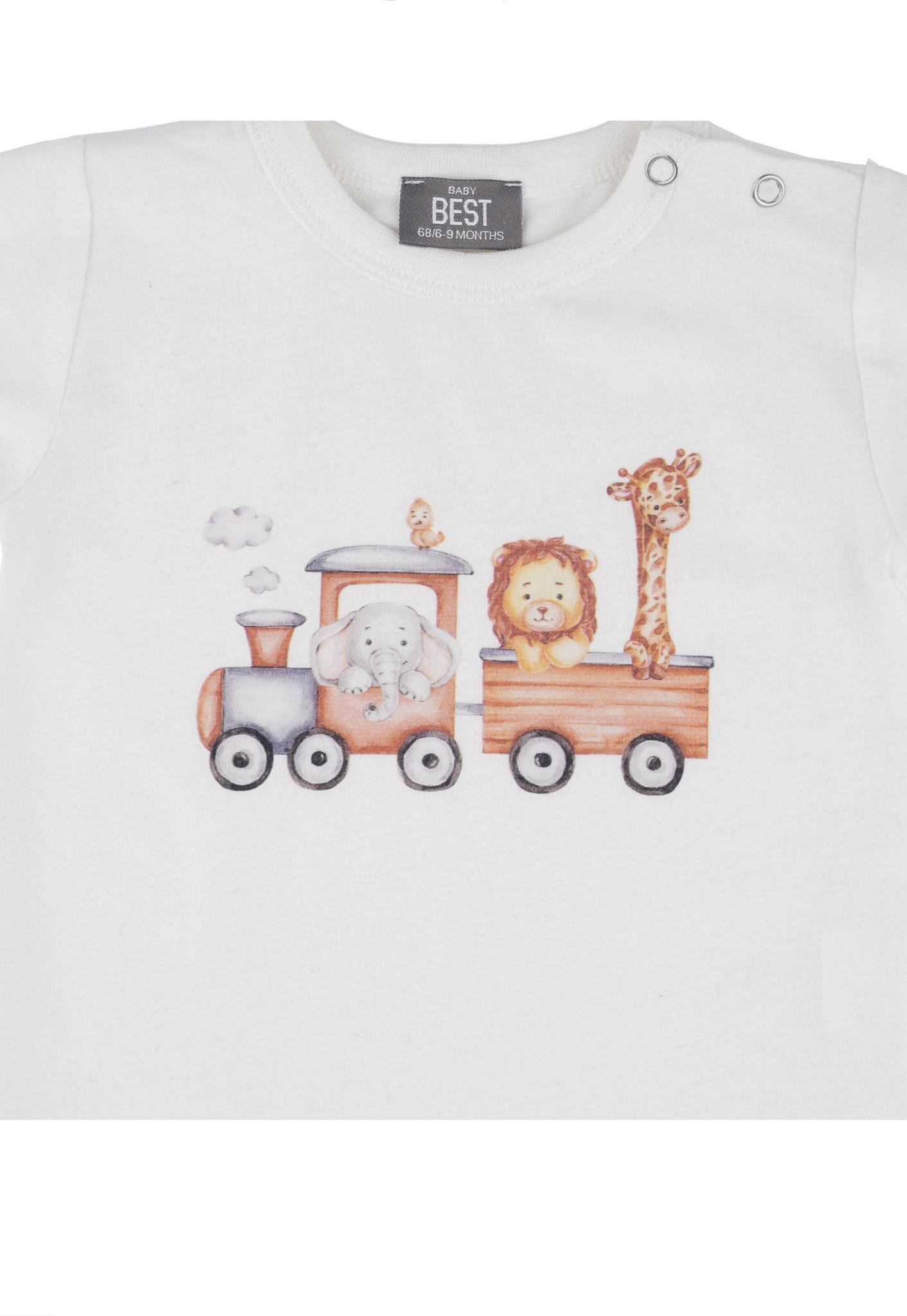 Zoo train set