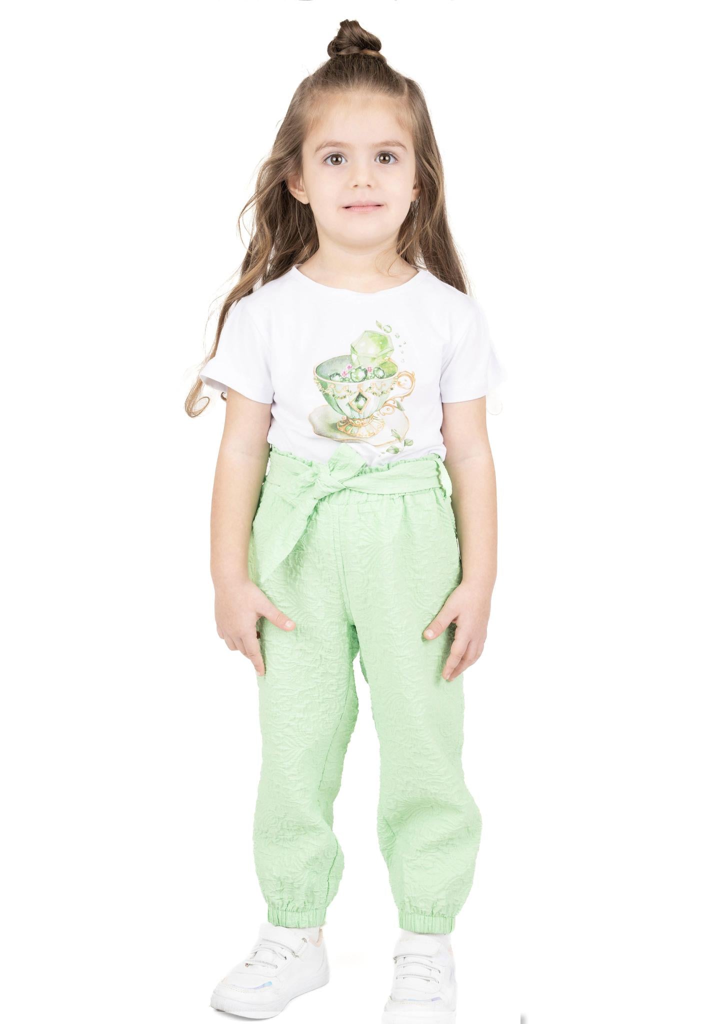 Green Lime Schiffon Pants