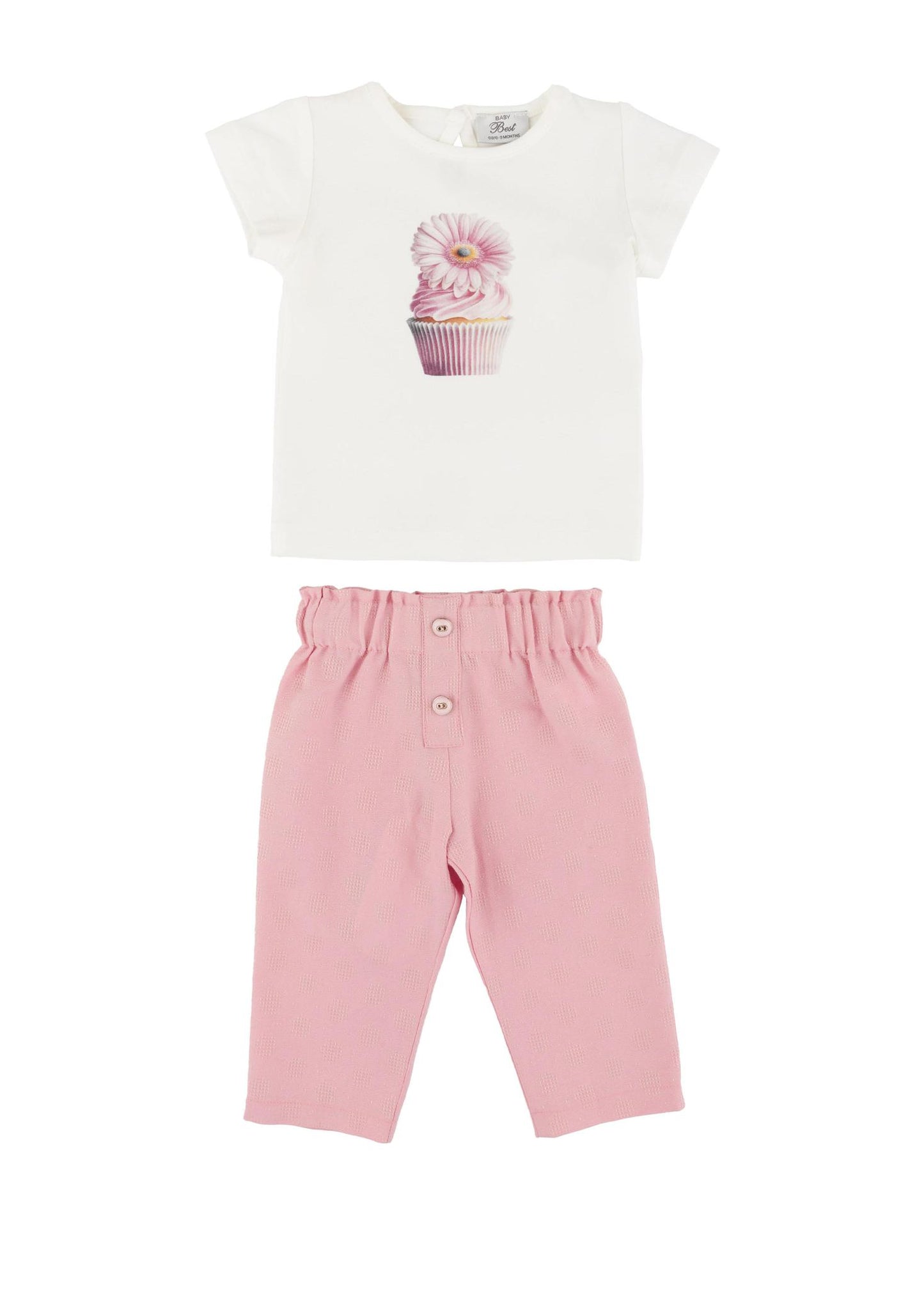 Mint\pink Cupcake 2 Piece Set