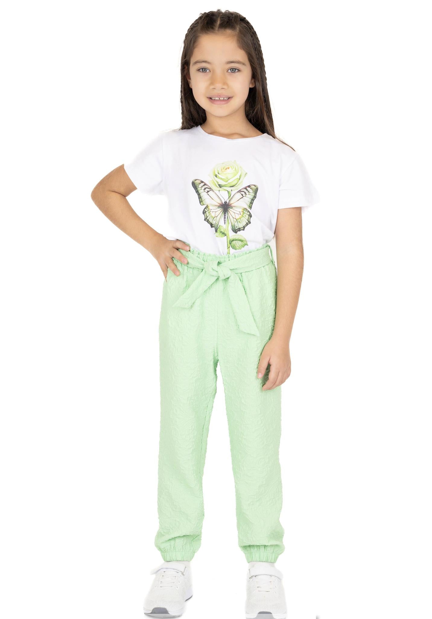 Green Lime Schiffon Pants