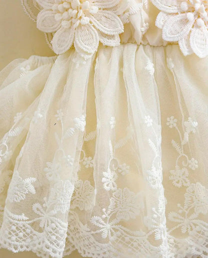 Baby Elegant Flower Embroidery Romper Dress with Headband